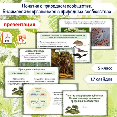 Презентация «Понятие о природном сообществе. Взаимосвязи организмов в природных сообществах», 5 класс