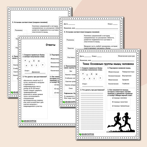 Рабочий лист по физической культуре «Основные группы мышц»