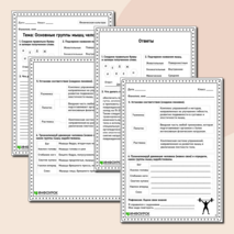 Рабочий лист по физической культуре «Основные группы мышц»