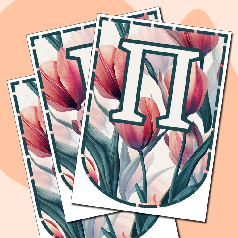 Оформление на Последний звонок. Растяжка 