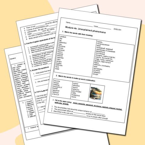 Рабочий лист по английскому языку по программе Starlight 8, unit 4E