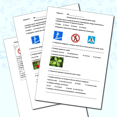 Проверочная работа по разделу 