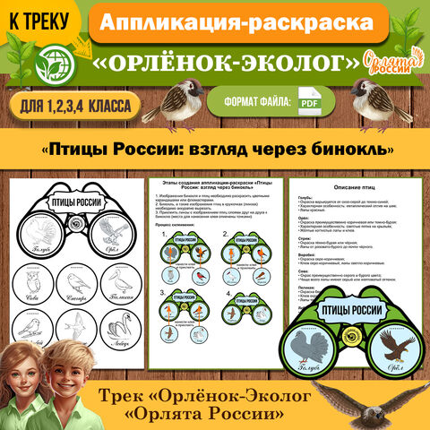 Аппликация-раскраска к треку «Орлёнок-Эколог» на тему «Птицы России: взгляд через бинокль» | «Орлята России»