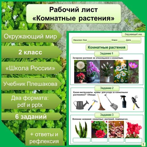 Рабочий лист по теме 