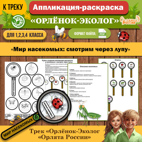 Трек «Орлёнок-Эколог» раскраска-аппликация «Мир насекомых: смотрим через лупу» | «Орлята России»