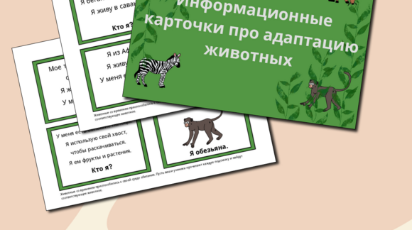 Обложка материала