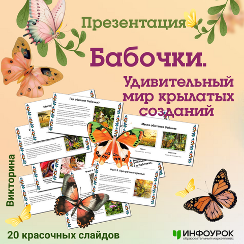 Презентация «Бабочки. Удивительный мир крылатых созданий»