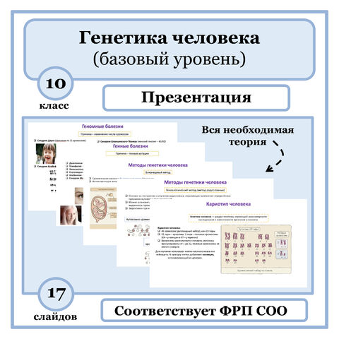 Презентация по биологии 