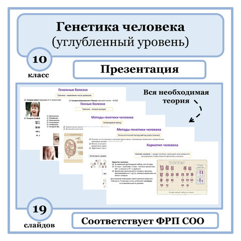 Презентация по биологии 
