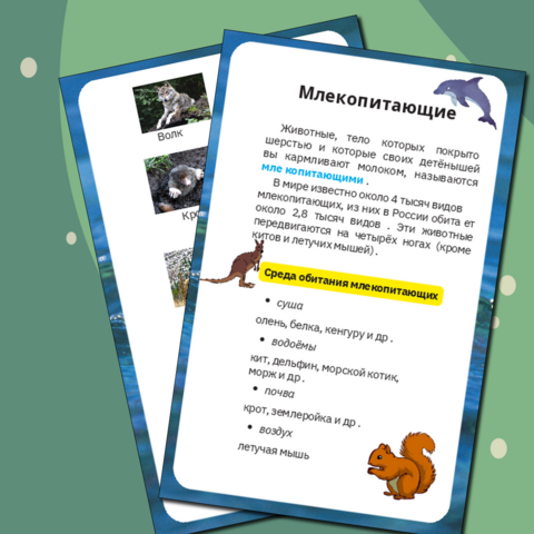 Наглядный материал:Млекопитающие