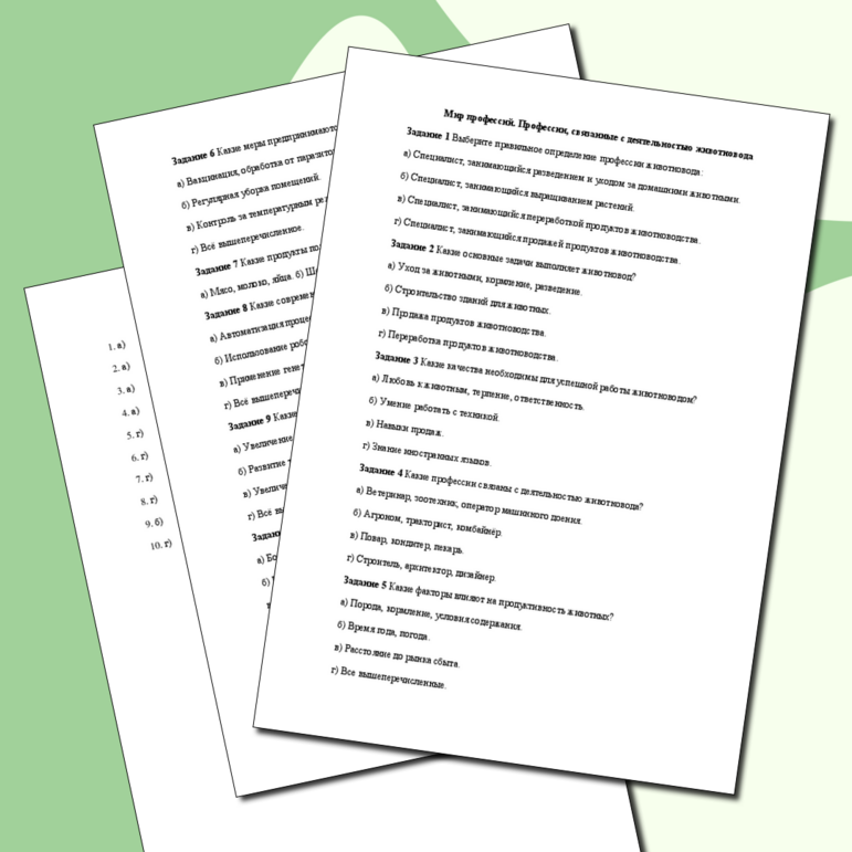 Тестирование 