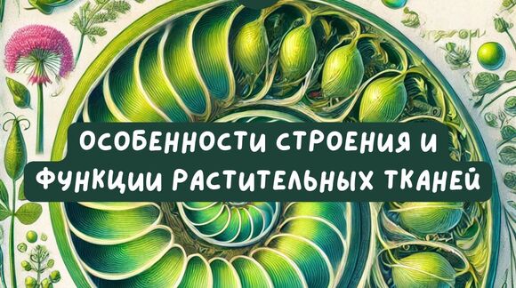 Обложка материала