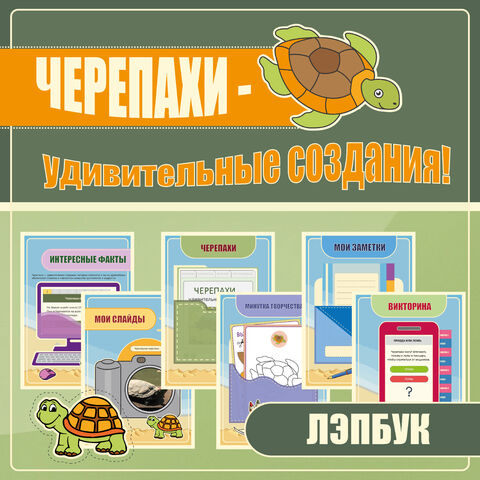 Лэпбук «Черепахи – удивительные создания!»