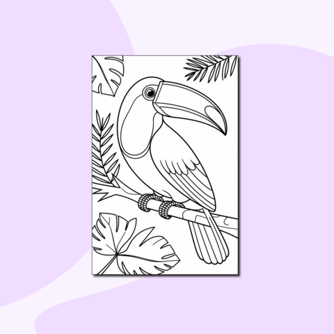 Красивая раскраска с туканом