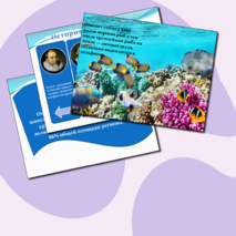 Презентация по географии 