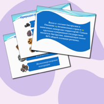 Презентация по географии 