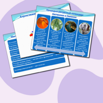 Презентация по географии 