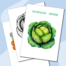 Раскраска 