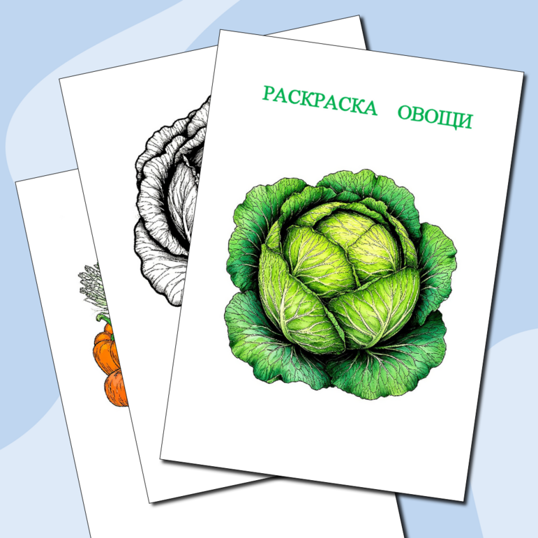 Раскраска 