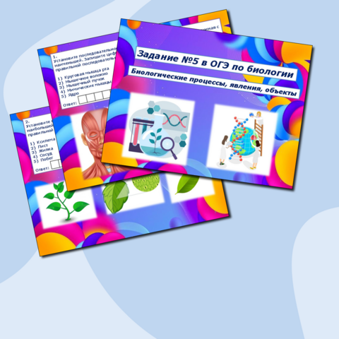 Презентация по биологии 