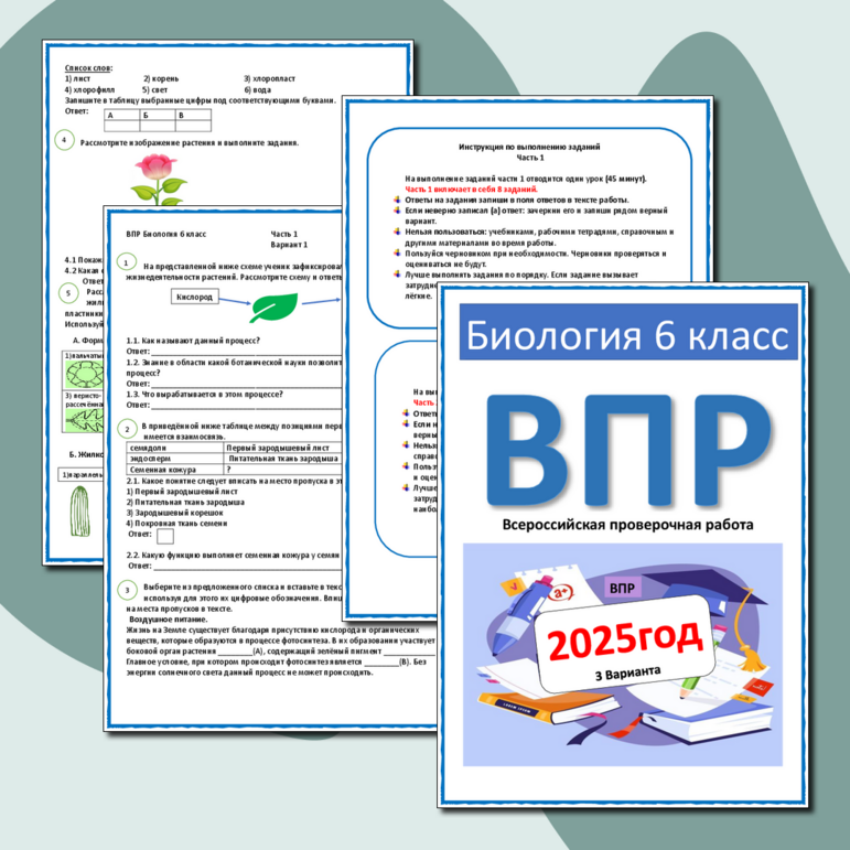 ВПР по биологии 6 класс вариант 1 (2025 г)