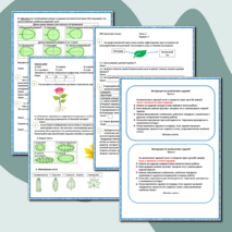 Тренажёр ВПР – 2025. Биология 6 класс 3 варианта
