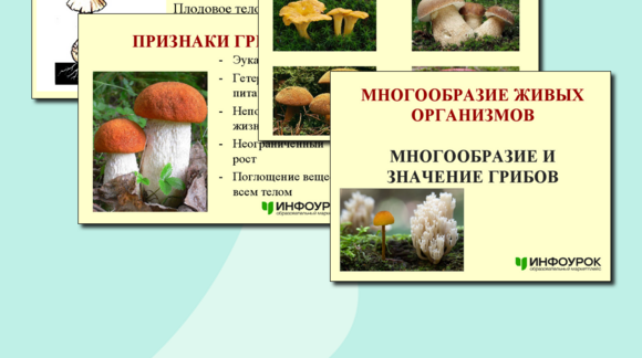 Обложка материала