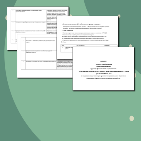 Дневник педагогической практики по курсу профессиональной переподготовки «Организация воспитательного процесса детей дошкольного возраста с учетом реализации ФГОС ДО»