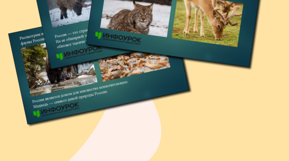 Обложка материала