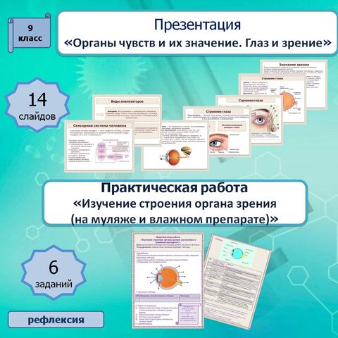 Презентация 