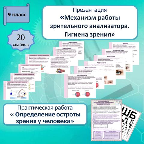 Презентация 