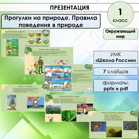 Презентация «Прогулки на природе. Правила поведения в природе» по окружающему миру в 1 классе