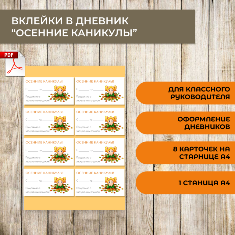 Вклейки в дневник 