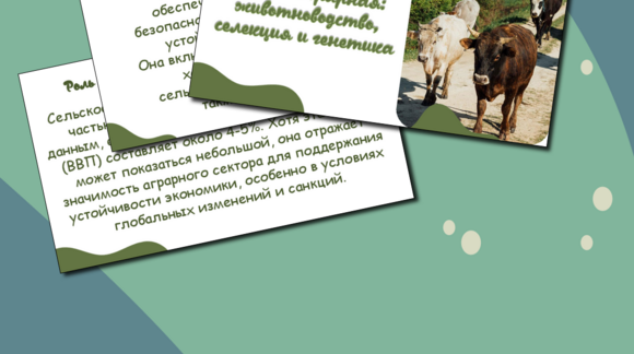 Обложка материала