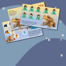 Автоматизация звука Ж. Логопедический альбом с заданиями.