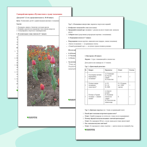 Сценарий викторины 