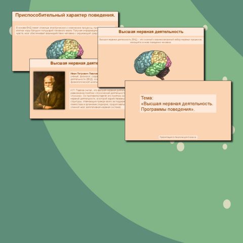 Презентация по биологии для 9 классов по теме: 