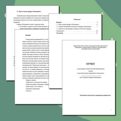 Отчет о прохождении учебной ознакомительной практики студента