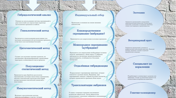 Обложка материала