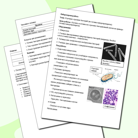 Лабораторная работа 