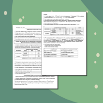 Рабочий лист 