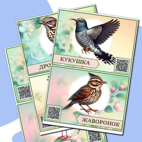 Карточки с QR - кодами 