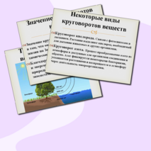 Круговороты веществ в природе