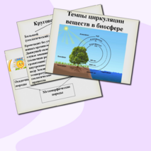 Круговороты веществ в природе