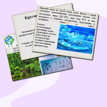 Круговороты веществ в природе