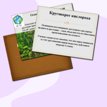 Круговороты веществ в природе