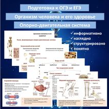 Презентация «Опорно-двигательная система» (Организм человека и его здоровье) для подготовки к ОГЭ и ЕГЭ