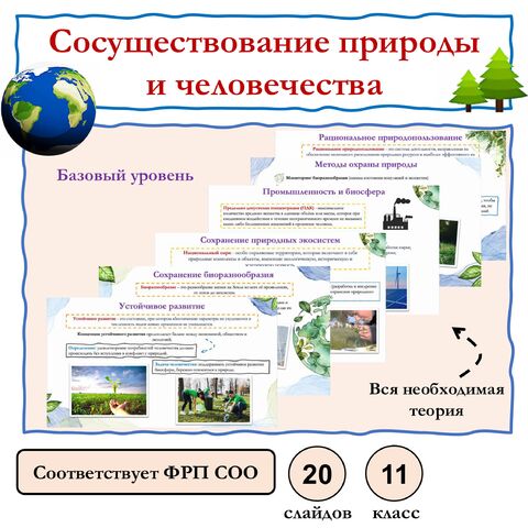 Презентация по биологии 