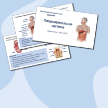 Презентация «Пищеварительная система» (Организм человека и его здоровье) для подготовки к ОГЭ и ЕГЭ