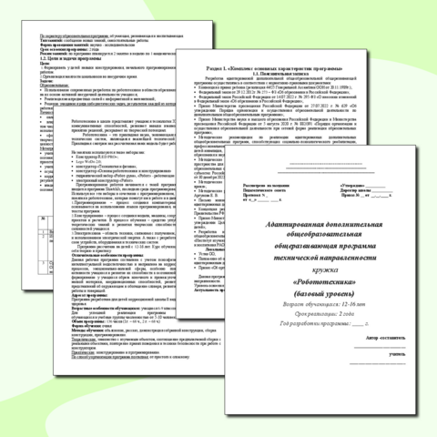 Адаптированная дополнительная общеобразовательная общеразвивающая программа технической направленности кружка 